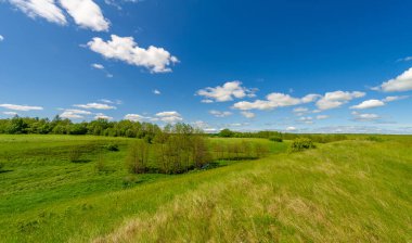 Steppe, çayır, sade, çöl. Dolunayın ışıldayan büyüsünün tadını çıkarın ve aydınlığının karanlığın içinde size rehberlik etmesine izin verin. Ay Kutsaması