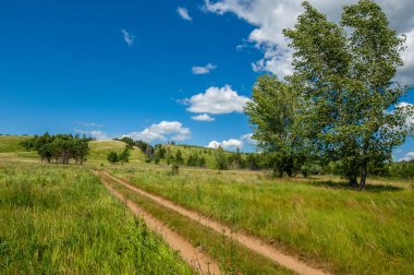 Yaz manzarası, nehir taşkınları, pitoresk kıyılar, kır çiçekli parlak yeşil çimenler, beyaz bulutlu mavi gökyüzü, ılık yaz günleri.,