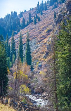 Tien Shan Dağları 'nın nefes kesici güzelliğini tecrübe edin. Kendinizi eski çam ve huş ağaçlarının sükunetine daldırın. Bu unutulmaz yolculukta doğanın ebedi gücünü keşfedin..