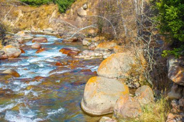Doğanın ahenginin güzelliğini çarpıcı fotoğraflarla yakalayın. Akan suyun ve huzurlu nehir manzaralarının sakin sahneleri. Pürüzsüz, dağınık taşların doğal zarafetini gösteriyor.