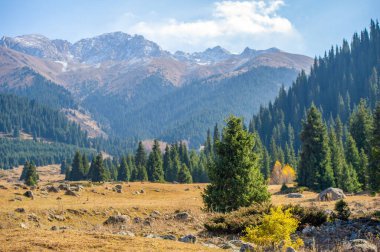 Tien Shan dağlarının güzelliğini ve dinginliğini hisset. Bereketli yeşil çam ağaçlarının arasında sakin bir gezinti yap. Manzarayı süsleyen canlı çiçeklere hayran olun..
