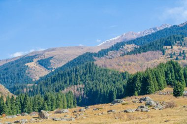 Sonbahar zirvelerinin nefes kesici güzelliğini tecrübe et. Kendini parlak altın renkleri denizine daldır. Doğanın sonbahar ihtişamından ilham alın..