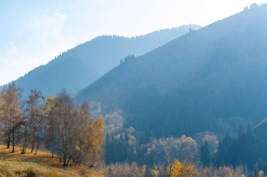 Sonbaharda görkemli Tien Shan ladin ve huş ağaçlarının güzelliğini hisset. Kendinizi büyüleyici dağ yüksekliklerinin huzurlu atmosferine daldırın. Sonbahar manzarasının tadını çıkar.