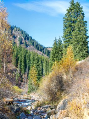 Sonbaharda Tien Shan 'ın nefes kesici güzelliğini tecrübe et. Kendinizi canlı yapraklara ve yeşil çam ağaçlarına daldırın. Günlük hayattan huzurlu ve huzurlu bir ayrılık keşfedin..