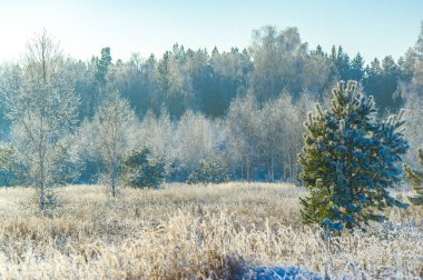 Karlı araziyi keşfedin ve sonsuz maceralar keşfedin. Bırak parlak mavi gökyüzü yolculuğunda sana rehberlik etsin. Kar tanelerinin büyüleyici kucaklamasını tecrübe et..