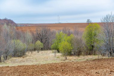 Yılın her zamanında doğanın güzelliğini ve yenilenmesini hissedin. Dünya hasadının bolluğunu kutlayın. Yaşam ve büyüme döngülerini benimse.