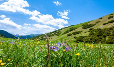 Dağlarda yaz. Dağlar hem bir yolculuk hem de bir hedeftir. Bizi yamaçlarına tırmanmaya, kanyonlarını keşfetmeye ve zirvelerine tırmanmaya zorluyorlar..
