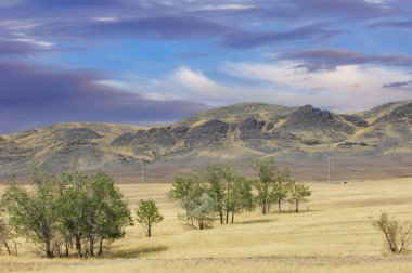 Çayır, düz, çöl. Barış çorak alanlarda bulunur. Kaos dolu bir dünyada, çöldeki bu yalnız ağaç doğanın sunduğu barışın bir göstergesidir. Doğa Barış, Çöl Kaçışı