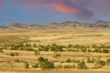 Steppe, Prairie, sade, pampa. Güzel gün batımı gökyüzü. Uçsuz bucaksız çölün el değmemiş güzelliklerinde macera. Muhteşem dağların arka planında Doğa İlham verir.
