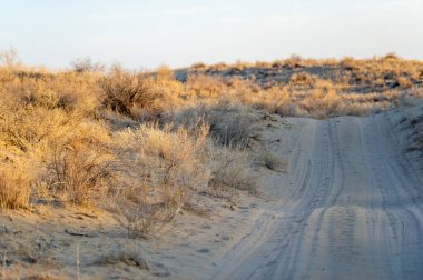 Bozkırda sonbaharın nefes kesici güzelliğinin tadını çıkar. Kum tepelerinde çarpıcı bir günbatımına tanık olun. Günbatımı Büyüsü sırasında dinginliğin altın renginin tadını çıkar..