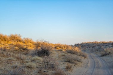 Gün batımında çölün sıcacık renklerle canlanmasını izle. Büyüleyici bir çöl günbatımının dinginliğini ve ihtişamını hissedin. Sonbaharın güzelliğini takdir etmek için bir dakikanızı ayırın.