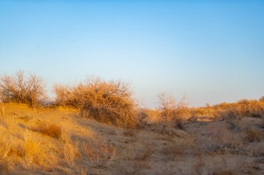Sonbahar. Steppe. Gün batımı. Güneş zarif bir şekilde batarken kendinizi çölün dingin güzelliğine daldırın, sonsuz kumulları yakıcı bir paletle aydınlatın. Bu anın sessizliğine izin ver.