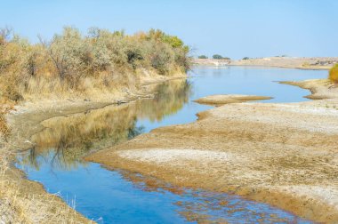 Geçiciliğin güzelliği: Bozkırdaki bir nehrin akan sularının yanında tek başına duran ölü bir ağacın görüntüsünde yaşam ve ölümün büyüleyici birlikteliğine tanık olun. Yaşam Döngüsü