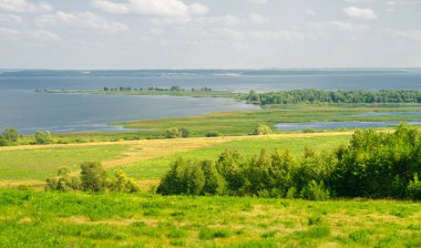 Yaz manzarası. Dünyanın Avrupa bölgesindeki bir nehir. Güneşli sıcak bir gün. Yeşil ağaçlar, çimenler. Mavi gökyüzü küçük bir bulut örtüsüyle.