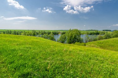 Bahar fotoğrafı, söğüt ağacı, parlak yeşillik, bulutlu mavi gökyüzü, harika bahar havası.