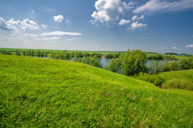 Bahar fotoğrafı, söğüt ağacı, parlak yeşillik, bulutlu mavi gökyüzü, harika bahar havası.
