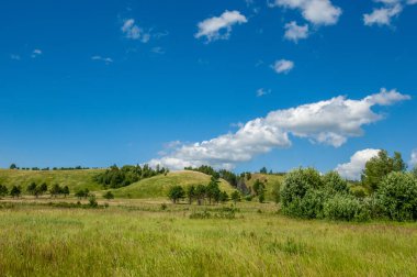 Yaz manzarası, nehir taşkınları, pitoresk kıyılar, kır çiçekli parlak yeşil çimenler, beyaz bulutlu mavi gökyüzü, ılık yaz günleri.,