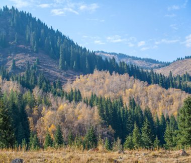 Tien Shan sırasının çarpıcı güzelliğini keşfedin. Doğanın kalbine ve sükunete doğru bir yolculuk. Yüksek kayalıkların üzerinde yükselen antik ateş ve huş ağaçlarına tanık olun..