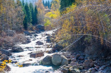 Kendini doğanın senfonisinin sükunetine bırak. Sonbahar kucaklaşmasının güzelliğine dalın. Parlak ormanların arasından süzülen berrak bir nehir keşfedin..