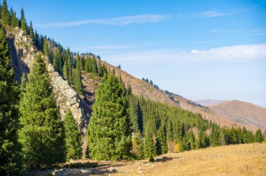 Kendini Tien Shan Dağlarının dingin güzelliğine daldır. Yürürken sonbahar cazibesini hisset. Yeşillik ve renkli çiçeklerle çevrili huzurlu bir atmosferin tadını çıkar..