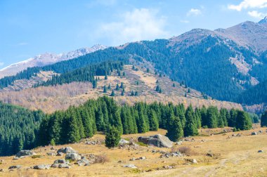 Sonbahar zirvelerinin nefes kesici güzelliğini tecrübe et. Kendini parlak altın renkleri denizine daldır. Doğanın sonbahar ihtişamından ilham alın..