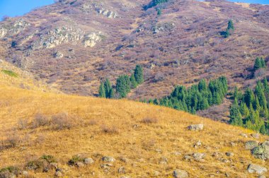 Sonbaharda Tien Shan dağlarının çarpıcı güzelliğini tecrübe edin. Canlı yapraklar ve yükselen zirveler sizi büyülesin. Kendinizi nefes kesici bir manzaraya daldırın.