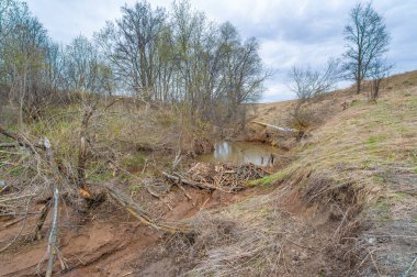 Gizli bir vaha keşfetmek. Vahşi yaşamla karşılaşmanın cazibesini hisset. Gizemli Gölet 'teki doğanın rahatlatıcı serenatını dinle. Kunduzun cennetine gir ve fısıltılarını kucakla..