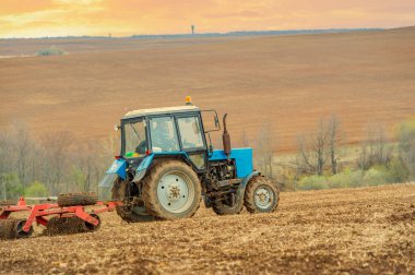 Güneşli tarlalarımızda doğanın gençleşmesini tecrübe edin. Toprakta hasat mevsimine hazırlanırken yaşam döngüsünü keşfedin. Dünyanın nimetlerinin tadını çıkarın.