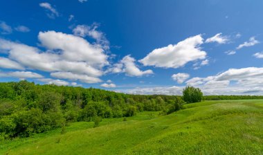 Steppe, çayır, sade, çöl. Dolunayın ışıldayan büyüsünün tadını çıkarın ve aydınlığının karanlığın içinde size rehberlik etmesine izin verin. Ay Kutsaması