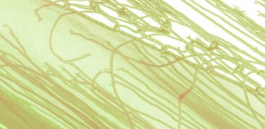 İpek kumaşın arka plan dokusu. Bu doğal yeşil salata eşarbı, şeffaf eli olan yapay ipekten yapılmış bu güzel naylon saten ve harika bir parıltı projeleriniz için mükemmel..