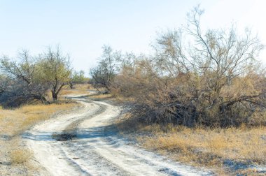 Bozkırdaki sonbaharın çarpıcı güzelliğinin tadını çıkar. Toprak yollar boyunca manzaralı bir sürüş yapın ve nefes kesici manzaralara hayran olun. Bu huzurlu topraklarda insan ve doğa arasındaki uyumu görüyor musun?.