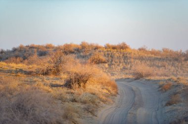 Bozkırın dinginliğini ve günbatımının güzelliğini hisset. Endişelerini geride bırak ve kendini doğanın sükunetine bırak. Güneş batarken gökyüzünün canlı renklerinin tadını çıkar.