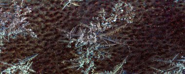 Dağınık. Boya üzerinde soğuk desenler var. Güzelliği sadece şeyin kendisinde değil, aynı zamanda bu şeyin verdiği gölgelerde, ışıkta ve karanlıkta da bul..