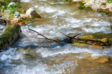 Kendini bir dağ deresinin dingin güzelliğine daldır. Rahatlatıcı seslerin ve doğanın manzarasının tadını çıkar. Uyumlu bir kompozisyon içinde iç huzuru ve huzuru bul..