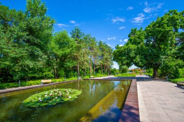 Parkın göbeğinde bir huzur vahası. Tüm ihtişamıyla doğanın güzelliğinin tadını çıkar. Nilüfer çiçeklerinin zarafetinin tadını çıkar. Huzuru ve iç huzuru huzurlu bir ortamda bul..