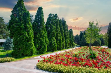 Kendinizi bu parkın büyüleyici güzelliğine daldırın. Etrafınız ağaçlardan ve çiçeklerden oluşan renkli bir duvar halısıyla çevrili. Tamamen rahatlayın ve güzelliğiyle doğayla bağlantı kurun. Doğa kaçışı.