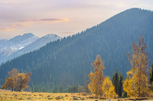 Feel the beauty of autumn in the Tien Shan range. Witness a symphony of vibrant colors and contrasting shades. Immerse yourself in nature\'s heavenly orchestra.