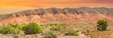 Red Boguty Dağları 'nın nefes kesici güzelliğini tecrübe edin. Yüzyıllar boyunca doğa güçlerinin şekillendirdiği sessiz muhafızlara tanık olun. Çöl manzarasının huzurunun tadını çıkar..