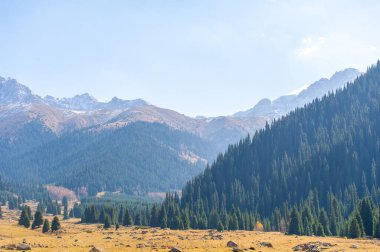 Sonbaharda Tien Shan Dağları 'nın çarpıcı güzelliğini tecrübe edin. Kendinizi canlı yeşilliklere ve nefes kesici manzaraya daldırın. Doğa aşıkları için ideal bir tatil yeri..