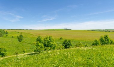 Yaz, çayır tarlaları, vadiler, çam ağaçları fındık ağacı, kır çiçekleri, dünyanın Avrupa bölgesi.