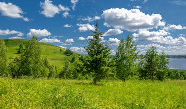 Yaz su çayırları, nehir taşkın ovaları, dağdan çekilmiş fotoğraflar. Nehrin kenarında yemyeşil çimenler, çam, huş ağacı, fındık ağacı yetişir. sıcak yaz günleri