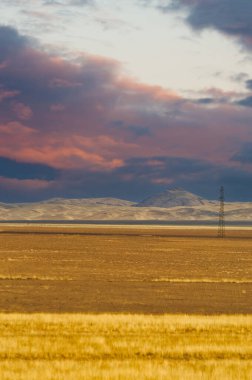 Steppe, Prairie, sade, pampa. Güneş çöle iyi geceler öpücüğü verirken nefes kesici bir renk senfonisi. Serenat Günbatımı Doğa Başyapıtı