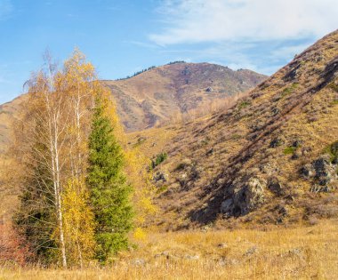 Kendinizi Tien Shan Dağları 'nın büyüleyici güzelliğine daldırın. Doğal manzaraların ferahlatıcı sükunetini hissedin. Görkemli ladin ve huş ağaçlarına hayranlık duyun.,