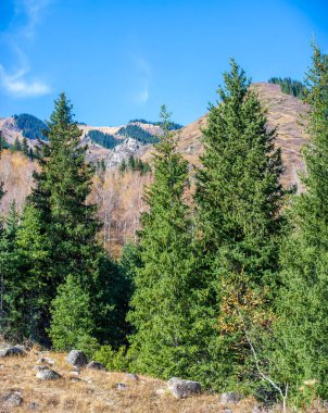 Tien Shan dağlarının ve sık ormanların güzelliğini hisset. Kendinizi nefes kesici manzaraya daldırın. Nefes kesici panoramalarla ruhunu tazele. Doğanın sükunetini keşfet.