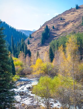 Kendinizi sonbaharın huzurlu güzelliğine daldırın. Canlı bir ormanın içinde dolaşan kristal gibi berrak bir nehir keşfedin. Tien Shan 'ın nefes kesici dağlarını tecrübe et..