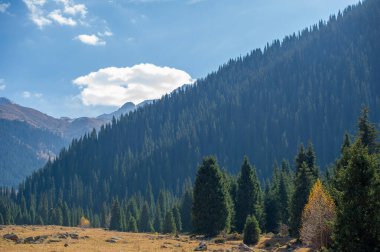Sonbaharda Tien Shan Dağları 'nın çarpıcı güzelliğini tecrübe edin. Manzarayı nefes kesici renklerle renklendiren canlı yapraklara daldırın. Doğa aşıkları için ideal bir tatil yeri..