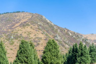 Kendini Tien Shan dağlarının huzurlu güzelliğine daldır. Renkli sonbahar yaprakları arasında keyifli bir gezinti yapın. Temiz dağ havasını içine çek ve nefes kesici manzaraya hayran ol..