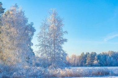 Sihirli kar tarlasını keşfet ve kar tanelerinin sana yol göstermesine izin ver. Bu büyüleyici kış harikalar diyarında sonsuz maceralar yaşayın. Parlak mavi gökyüzü senin pusulan olsun,
