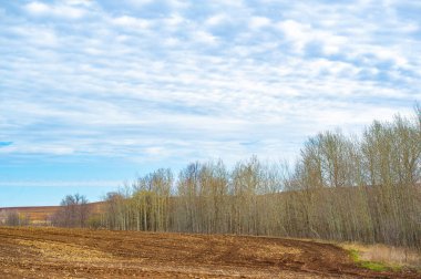 Gelecekteki büyüme ve başarı için zemin hazırla. Tamamen sürülmüş bir tarla ekime hazır. Potansiyel tohumlar ekin ve verimli topraklarda büyümelerini izleyin..