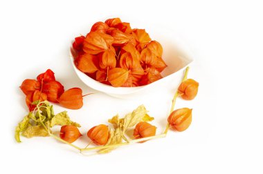 Physalis sidik torbası kirazı, Çin feneri, Japon feneri, Çilek Çileği, Japonya, parlak ve fener benzeri meyve kapları Bon festivalinin geleneksel bir bölümünü oluşturur.